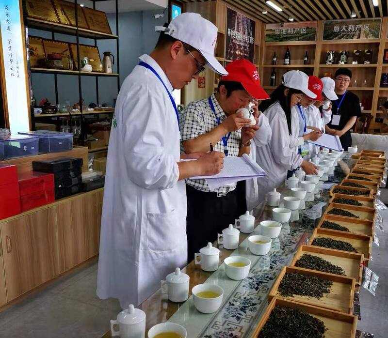 科技协同赋能茶产业升级：平昌县与省茶叶研究所合作成果纪实