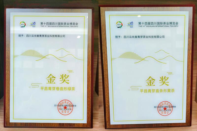 科技协同赋能茶产业升级：平昌县与省茶叶研究所合作成果纪实