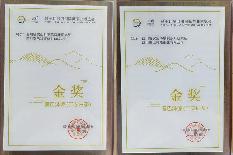 科技协同赋能茶产业升级：平昌县与省茶叶研究所合作成果纪实