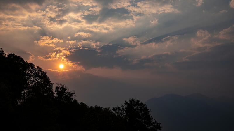 2025老同志大展宏图生茶，以勐海之魂，启宏图之志