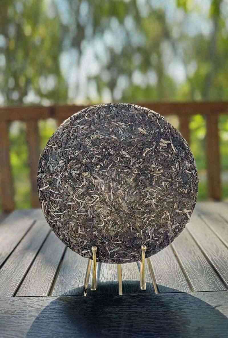 2025老同志大展宏图生茶，以勐海之魂，启宏图之志