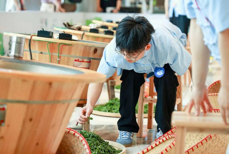 第七届中国国际茶叶博览会开幕，2025浙江省龙井茶炒制大师花落谁家？