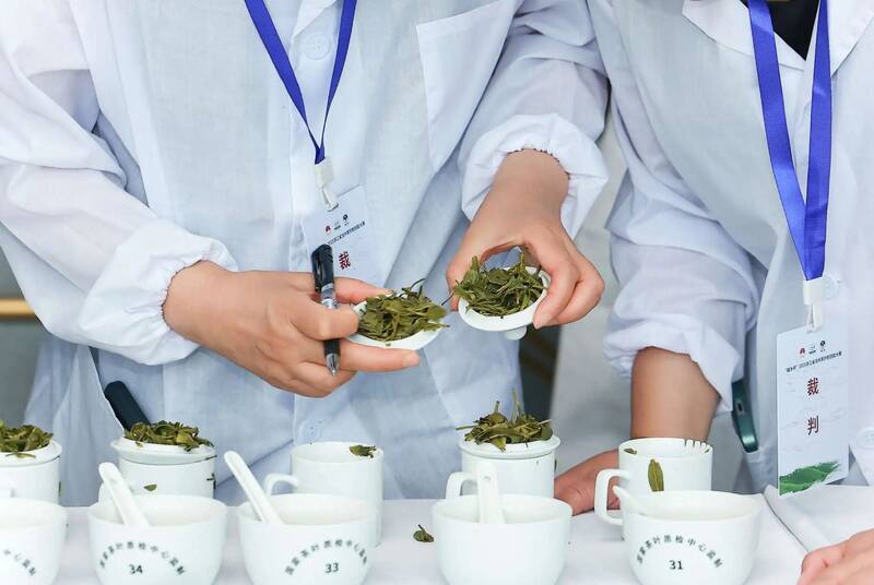 第七届中国国际茶叶博览会开幕，2025浙江省龙井茶炒制大师花落谁家？
