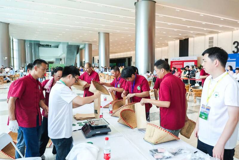 第七届中国国际茶叶博览会开幕，2025浙江省龙井茶炒制大师花落谁家？