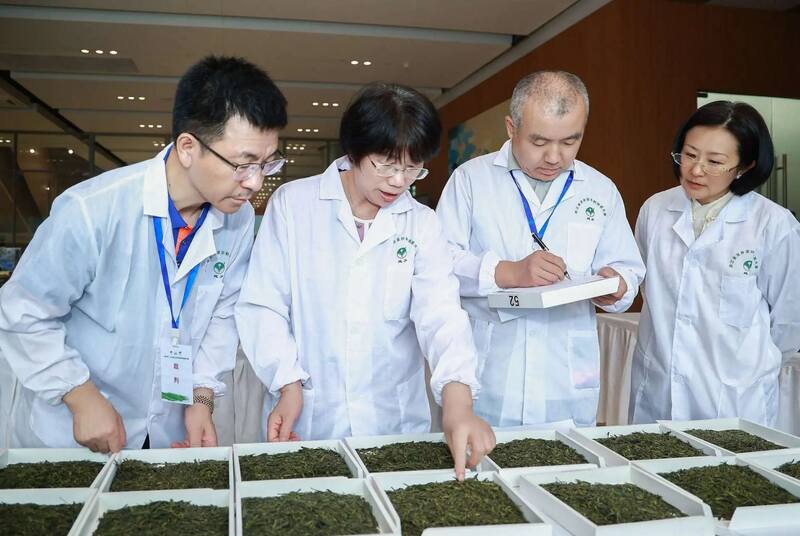 第七届中国国际茶叶博览会开幕，2025浙江省龙井茶炒制大师花落谁家？