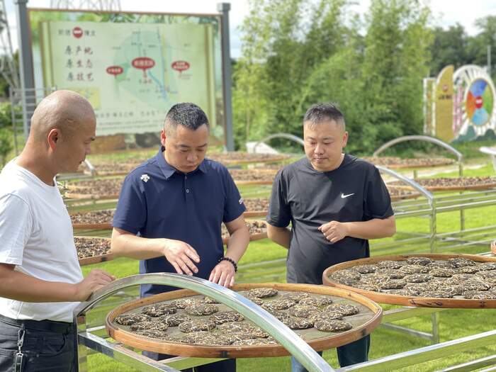 非遗双创，跨界焕新：雅安名山茶界双星闪耀2025非遗联创大赛