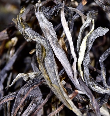 好茶不用讲故事，好喝才是王道！