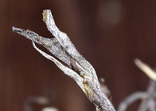 没有故事包装的茶叶到底值不值得喝？