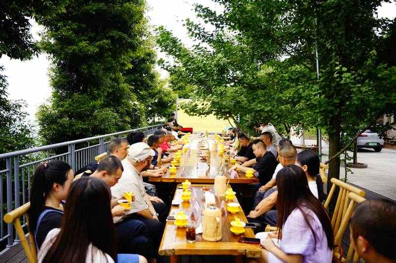 千年茶香传古韵，非遗匠心启新章   蒙顶山黄芽坊非遗黄芽品鉴会暨张强大师收徒仪式圆满举办