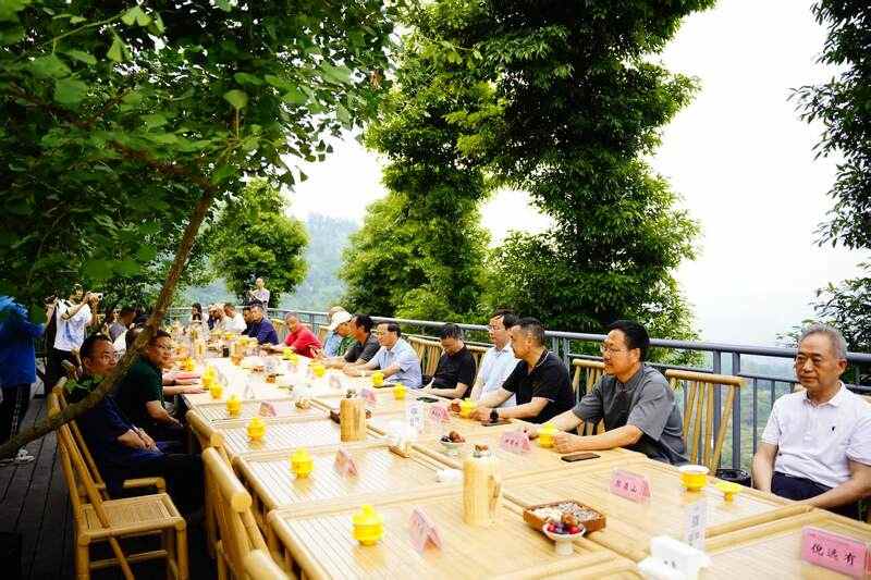 千年茶香传古韵，非遗匠心启新章   蒙顶山黄芽坊非遗黄芽品鉴会暨张强大师收徒仪式圆满举办