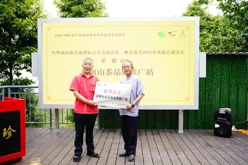 千年茶香传古韵，非遗匠心启新章   蒙顶山黄芽坊非遗黄芽品鉴会暨张强大师收徒仪式圆满举办