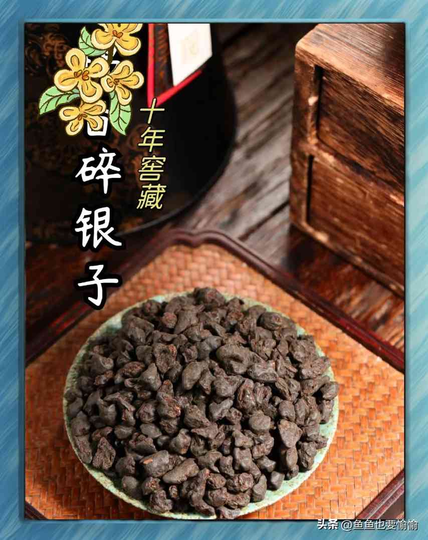 普洱茶原料分级全解析，轻松辨别正品与低价陷阱