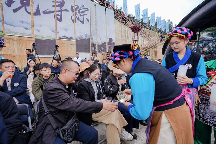 九龙县闯出茶叶高附加值赛道