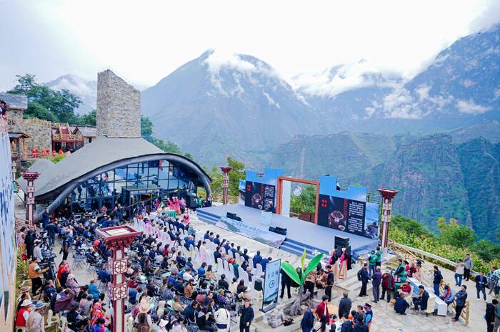 九龙县闯出茶叶高附加值赛道