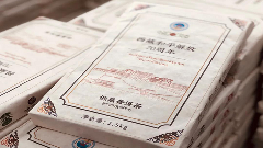 茶藏古今 道通天下——普洱市委书记李庆元在2025年第五届景迈山论坛上的主旨演讲