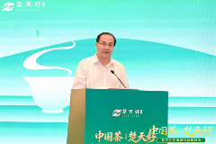 “楚天好茶”出海启航 湖北茶产业加速国际化