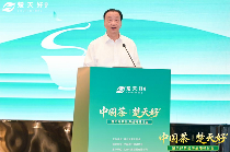 “楚天好茶”出海启航 湖北茶产业加速国际化