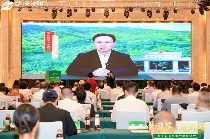 “楚天好茶”出海启航 湖北茶产业加速国际化