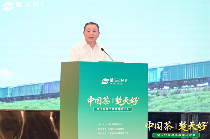 “楚天好茶”出海启航 湖北茶产业加速国际化