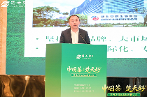 “楚天好茶”出海启航 湖北茶产业加速国际化