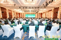 “楚天好茶”出海启航 湖北茶产业加速国际化