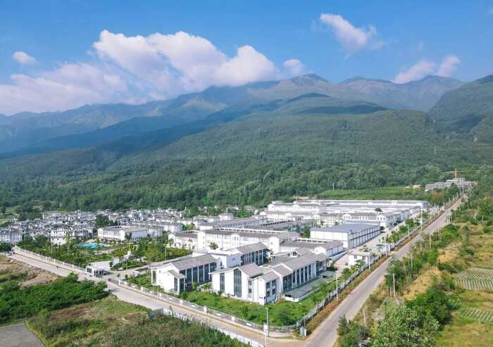 品牌与品质双重保障，铸就绿色云品——下关沱茶