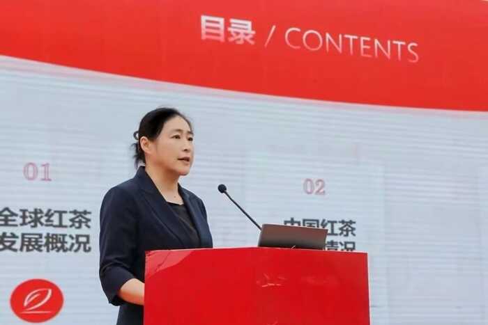2025中国红茶大会开幕 “消费提振 百年宁红”推动红茶产业高质量发展
