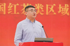 2025中国红茶大会开幕 “消费提振 百年宁红”推动红茶产业高质量发展