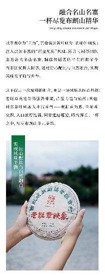 名山荟萃·万象天成 陈升号2025年“老班章·映象”面市