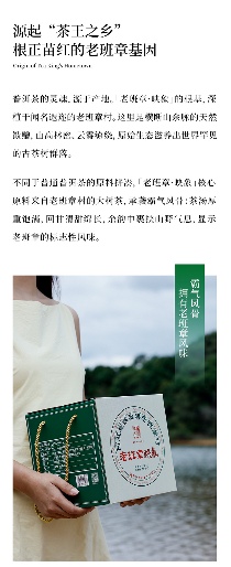 名山荟萃·万象天成 陈升号2025年“老班章·映象”面市