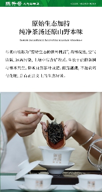 名山荟萃·万象天成 陈升号2025年“老班章·映象”面市