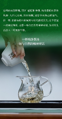 名山荟萃·万象天成 陈升号2025年“老班章·映象”面市