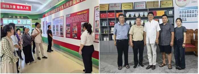 茶叶专家为企业开展科技服务 助力梁河乡村全面振兴