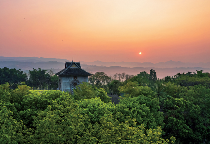 人类的普洱茶 世界的景迈山