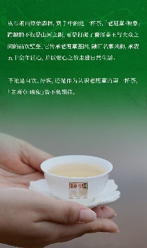 名山荟萃·万象天成 陈升号2025年“老班章·映象”面市