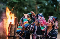 人类的普洱茶 世界的景迈山