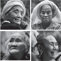 人类的普洱茶 世界的景迈山