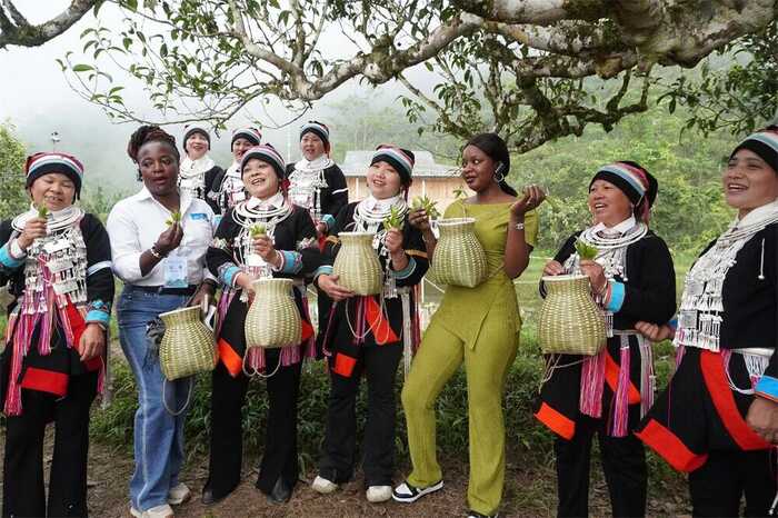 这里有振兴茶山的青春力量