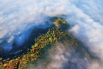 人类的普洱茶 世界的景迈山