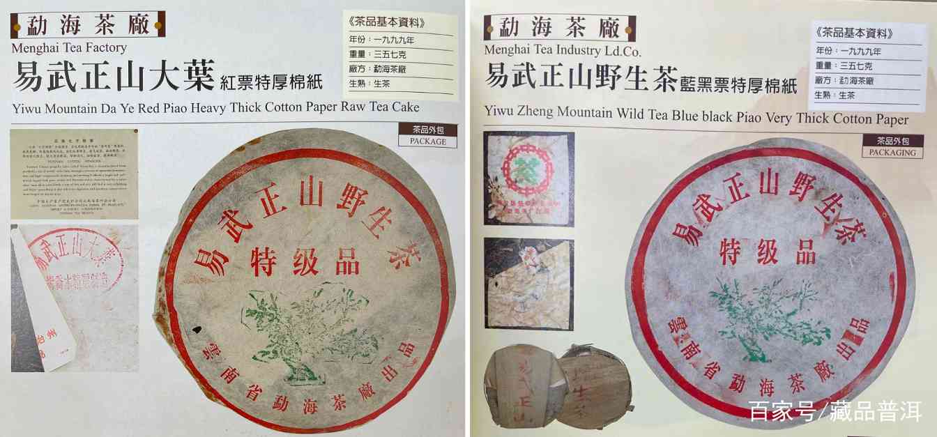 野99与大叶系绿大树如何鉴别