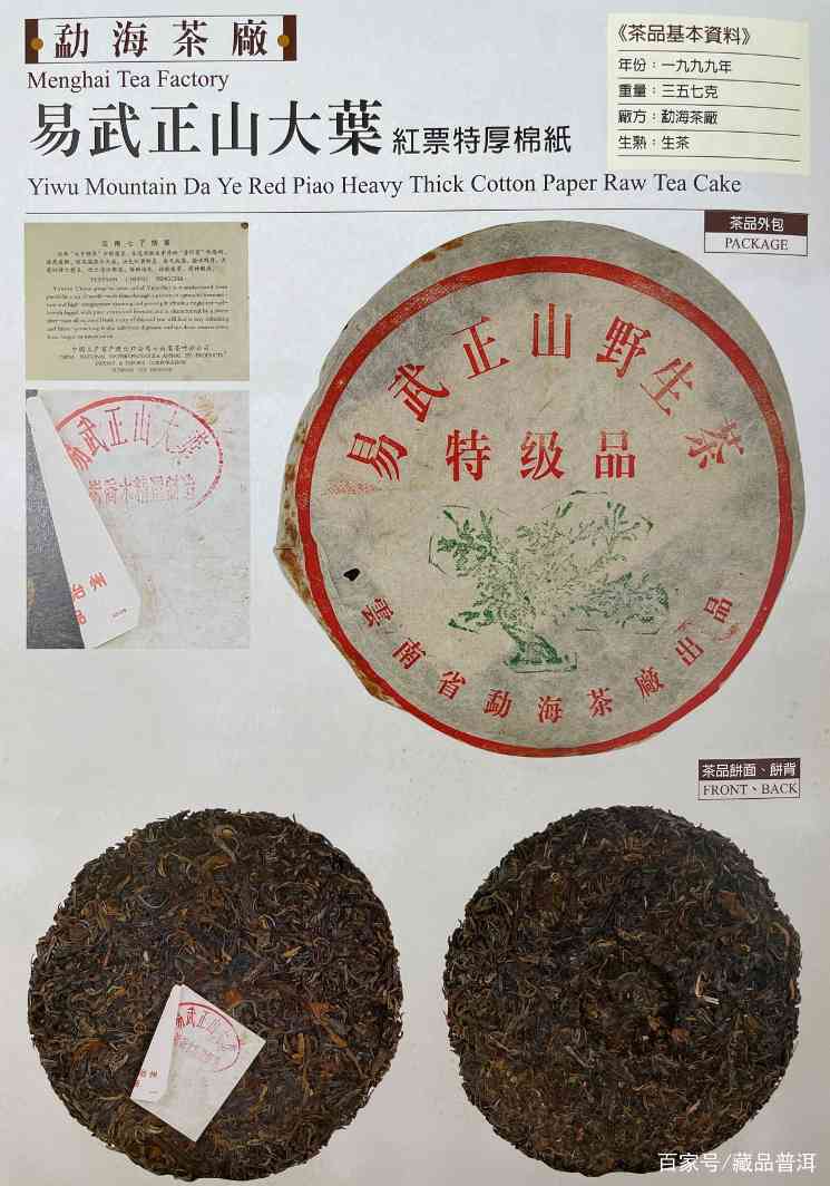 野99与大叶系绿大树如何鉴别