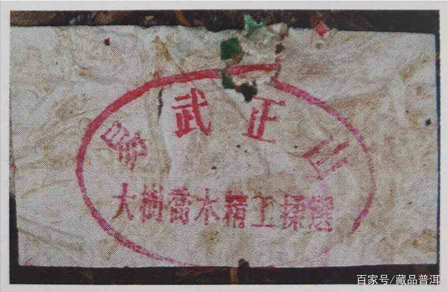 野99与大叶系绿大树如何鉴别