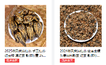 月满人团圆，茶香情更浓