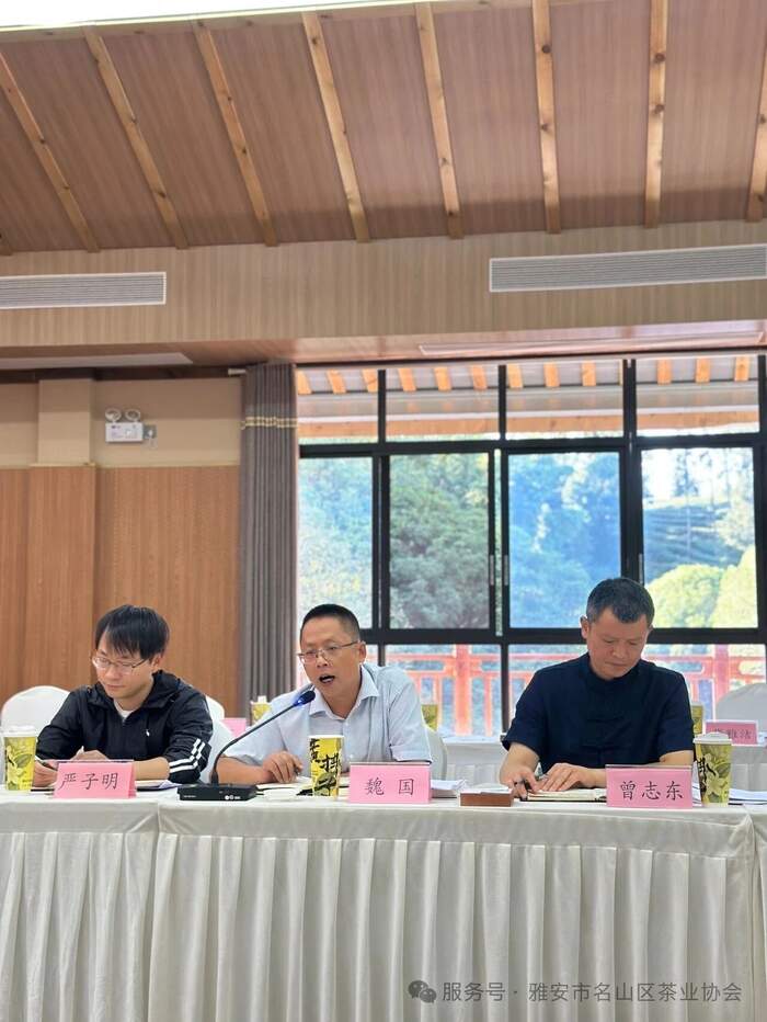 名山区召开2025蒙顶山茶青年茶人座谈交流会