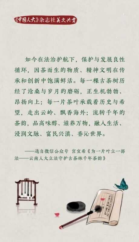 全国人大官微发布：云南人大立法守护古茶林千年茶韵