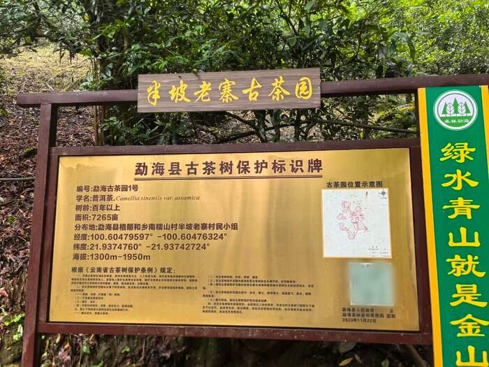 全国人大官微发布：云南人大立法守护古茶林千年茶韵