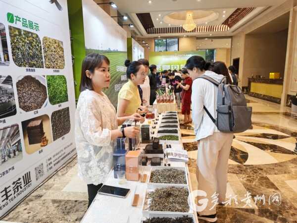2025新茶饮供应链产销交流会在遵召开，珠遵共推产业高质量发展