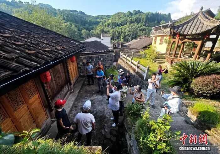 一片茶叶富了一个村 海外华媒探访“坦洋工夫”红茶发源地