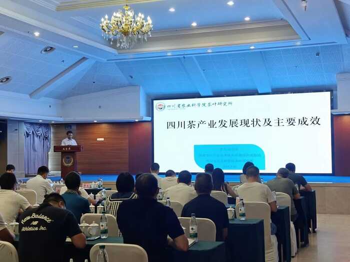 科技赋能茶产业—茶园管理技术提升培训会在叙州区成功召开