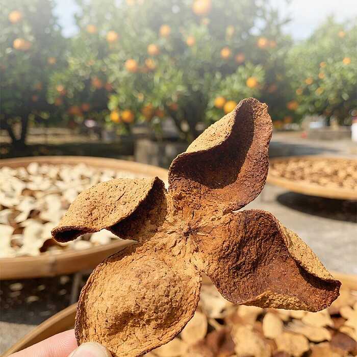 下关宫廷陈皮普洱熟茶 茶引柑香，柑助茶韵